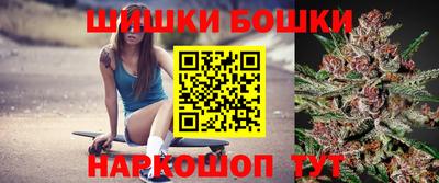 гашик Будённовск